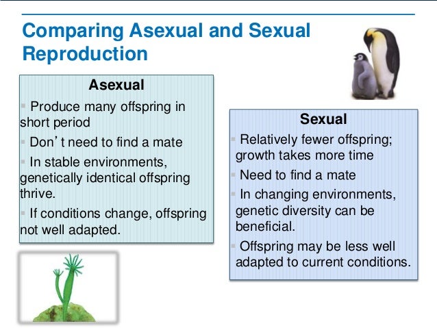 Compare sexual and asexual reproduction worksheet